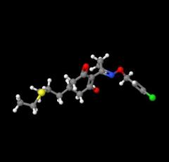 Top quality Clethodim CAS 99129-21-2 with factory price