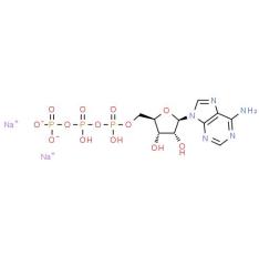 Manufacture supply Fast delivery Adenosine Triphosphate Disodium ATP CAS 987-65-5