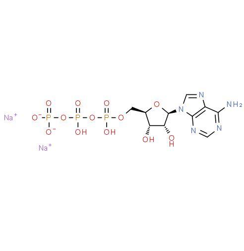 Manufacture supply Fast delivery Adenosine Triphosphate Disodium ATP CAS 987-65-5