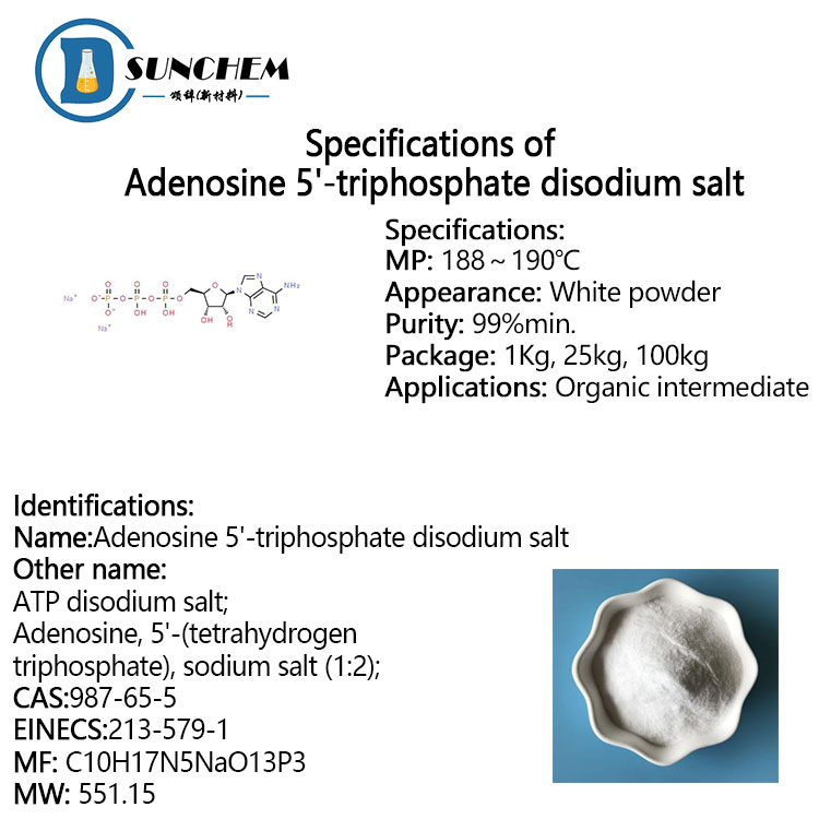 Manufacture supply Fast delivery Adenosine Triphosphate Disodium ATP CAS 987-65-5