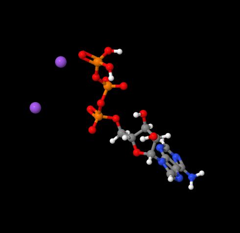 Manufacture supply Fast delivery Adenosine Triphosphate Disodium ATP CAS 987-65-5