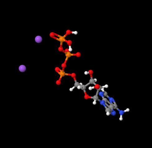 Manufacture supply Fast delivery Adenosine Triphosphate Disodium ATP CAS 987-65-5