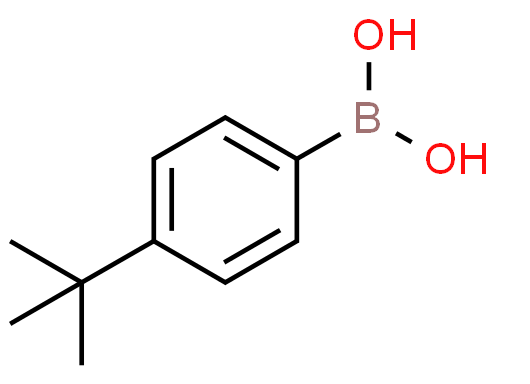 High purity 4-tert-Butylphenylboronic acid CAS 123324-71-0 in stock