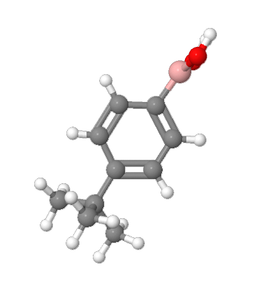 High purity 4-tert-Butylphenylboronic acid CAS 123324-71-0 in stock