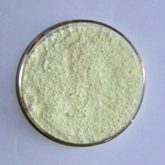 Hot selling 99% 4-(4-chloro-2-thienyl)-2-ThiazolaMine cas 570407-10-2 with low price