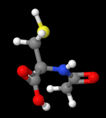 Factory Supply Acetylcysteine CAS 616-91-1 N-Acetyl cysteine 98% in stock