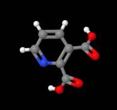 High quality Quinolinic acid / Pyridine-2,3-dicarboxylic acid cas 89-00-9 in factory