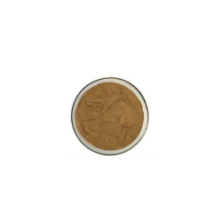 Factory Supply high quality Coumalic acid CAS 500-05-0 in stock