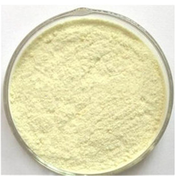 Hot selling 99% Ampicillin, sodium salt cas 69-52-3 with low price