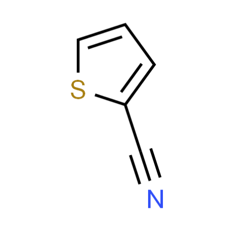 Factory supply 2-Thiophenecarbonitrile CAS 1003-31-2 in stock