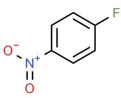 Wholesale Price 4-Fluoronitrobenzene CAS 350-46-9 in stock