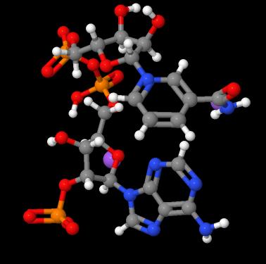 High quality 98% NADP disodium salt CAS 24292-60-2 with best price