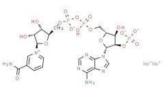 High quality 98% NADP disodium salt CAS 24292-60-2 with best price