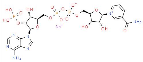 Wholesale Price NADP monosodium salt CAS 1184-16-3 in stock
