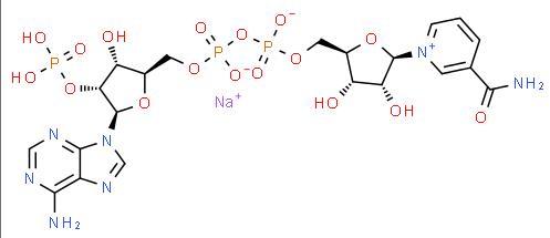 Wholesale Price NADP monosodium salt CAS 1184-16-3 in stock