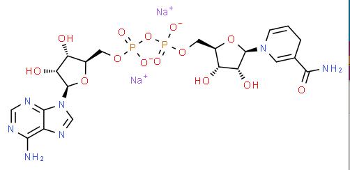 Manufacture supply High quality NADH disodium salt cas 606-68-8
