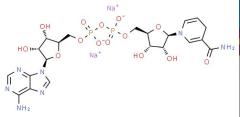 Manufacture supply High quality NADH disodium salt cas 606-68-8