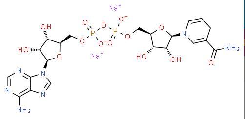 Manufacture supply High quality NADH disodium salt cas 606-68-8