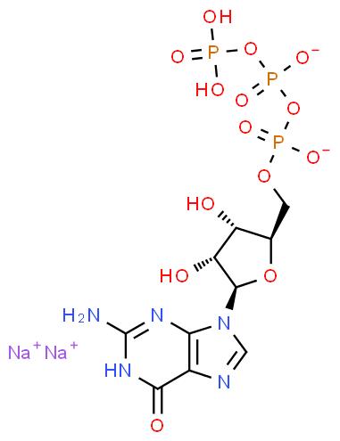 Professional Supplier Guanosine-5'-Triphosphate Disodium Salt with best price CAS 56001-37-7