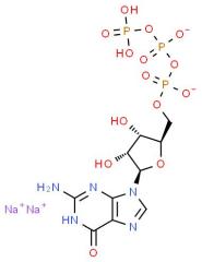 Professional Supplier Guanosine-5'-Triphosphate Disodium Salt with best price CAS 56001-37-7