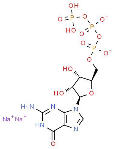 Professional Supplier Guanosine-5'-Triphosphate Disodium Salt with best price CAS 56001-37-7