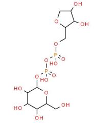 Wholesale Price Uridine Uridine 5'-diphosphoglucose disodium salt CAS 28053-08-9 in stock