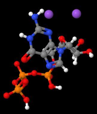 Professional Supplier Guanosine-5'-Triphosphate Disodium Salt with best price CAS 56001-37-7