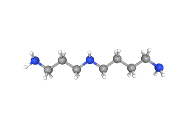 High purity 5% 98% Spermidine trihydrochloride CAS 334-50-9 with low price