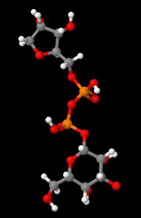 Wholesale Price Uridine Uridine 5'-diphosphoglucose disodium salt CAS 28053-08-9 in stock