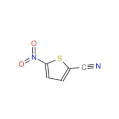 China 5-Nitro-2-thiophenecarbonitrile CAS 16689-02-4