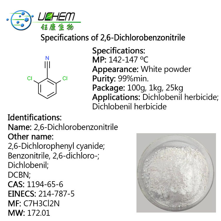 High quality 2,6-Dichlorobenzonitrile cas 1194-65-6 in factory