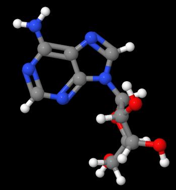 Provide Adenosine CAS: 58-61-7 with high quality