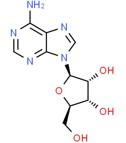 Provide Adenosine CAS: 58-61-7 with high quality
