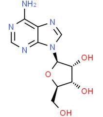 Provide Adenosine CAS: 58-61-7 with high quality