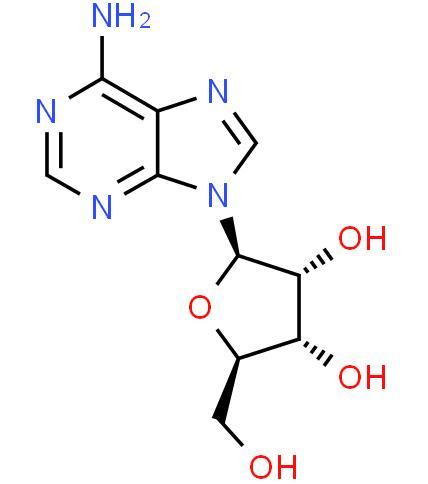 Provide Adenosine CAS: 58-61-7 with high quality