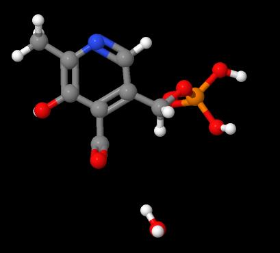 Manufacture supply High quality Pyridoxal 5'-phosphate monohydrate cas 41468-25-1