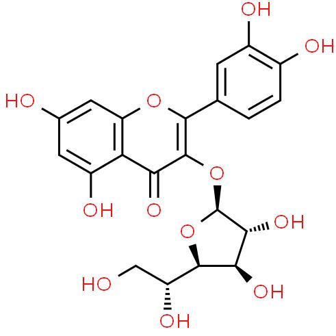 Manufacture supply High quality Isoquercitrin cas 21637-25-2