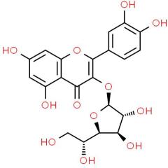 Manufacture supply High quality Isoquercitrin cas 21637-25-2