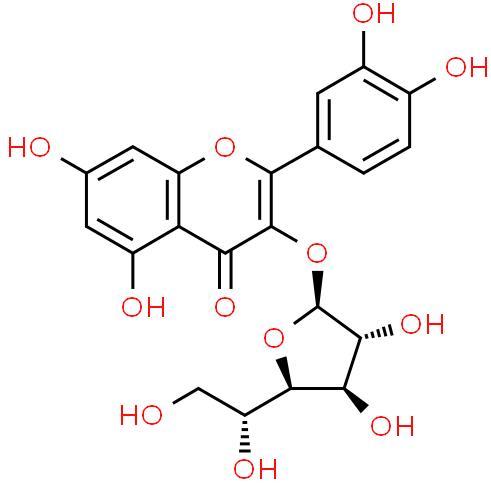 Manufacture supply High quality Isoquercitrin cas 21637-25-2