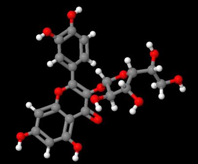 Manufacture supply High quality Isoquercitrin cas 21637-25-2