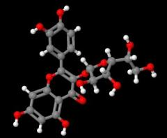 Manufacture supply High quality Isoquercitrin cas 21637-25-2