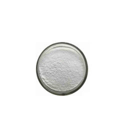 High quality 2-chloro-N-Methyl-N-(4-nitrophenyl)acetaMide CAS 2653-16-9 with best price