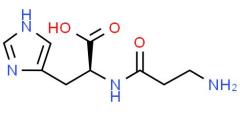 Factory Direct Supply L-Carnosine CAS 305-84-0