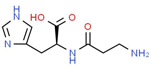 Factory Direct Supply L-Carnosine CAS 305-84-0