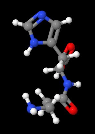 Factory Direct Supply L-Carnosine CAS 305-84-0