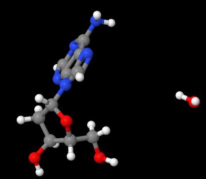 Manufacture supply High quality 2'-Deoxyadenosine monohydrate cas 683-408-7