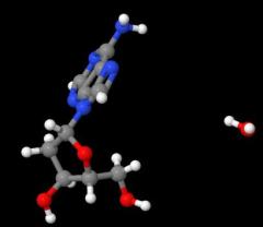 Manufacture supply High quality 2'-Deoxyadenosine monohydrate cas 683-408-7