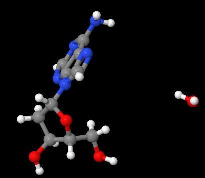 Manufacture supply High quality 2'-Deoxyadenosine monohydrate cas 683-408-7