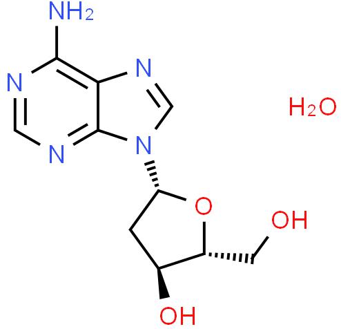 Manufacture supply High quality 2'-Deoxyadenosine monohydrate cas 683-408-7