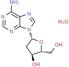 Manufacture supply High quality 2'-Deoxyadenosine monohydrate cas 683-408-7
